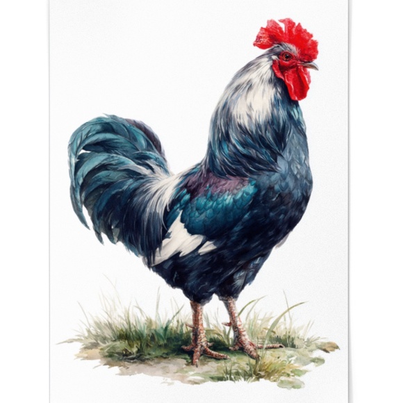 Watercolor Blue Rooster Portrait Wall Art Print Poster Unframed - Bird Artwork - Picture 2 of 6